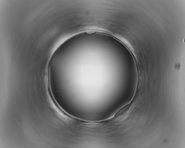 X0000091671391200709061033