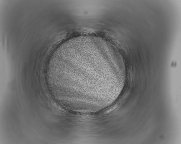 X0000091671393200709061032