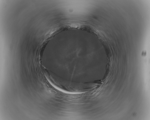 X0000091671394200709061032