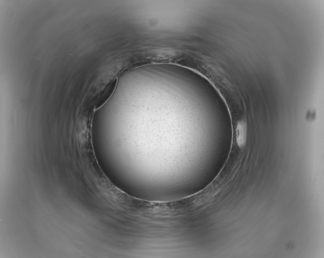 X0000091671395200709061032