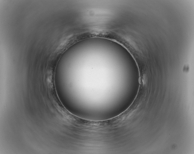 X0000091671396200709061032