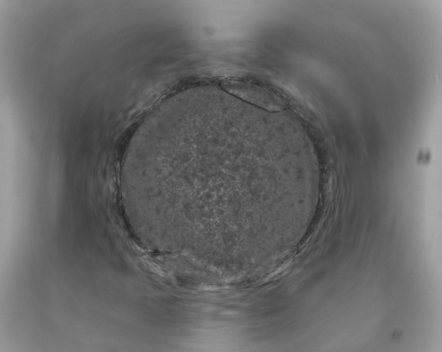 X0000091671397200709061032