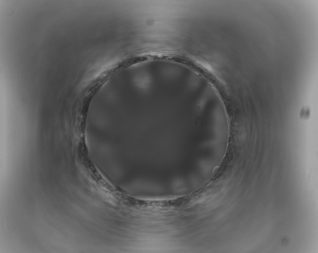 X0000091671399200709061032