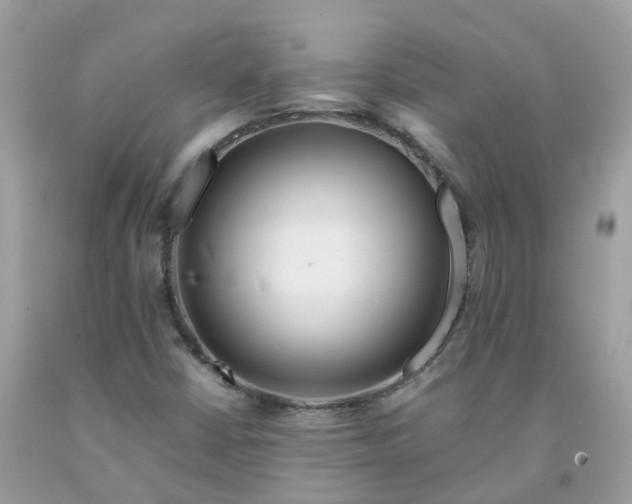 X0000091671402200709061033