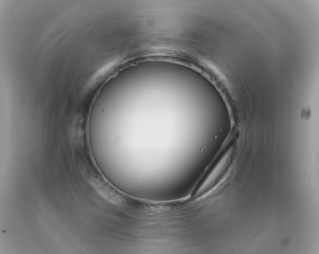 X0000091671403200709061033