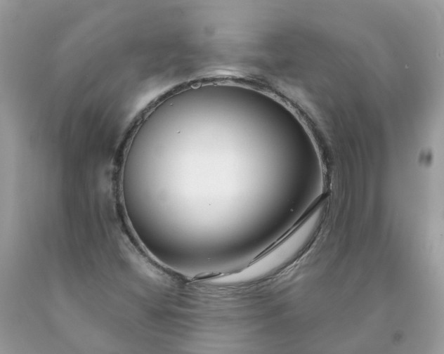 X0000091671404200709061033