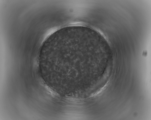 X0000091671405200709061033
