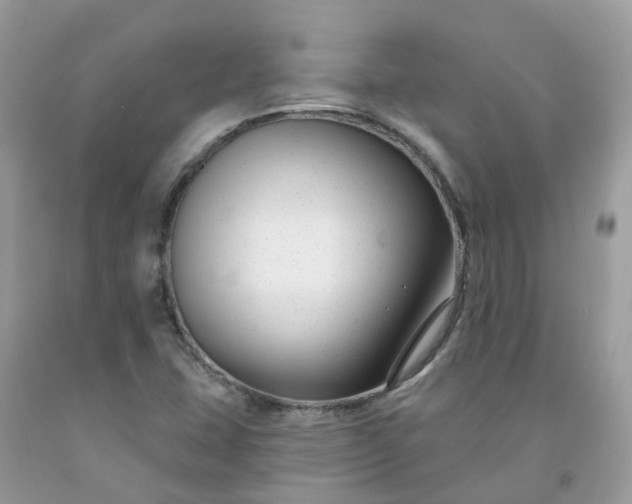 X0000091671407200709061033