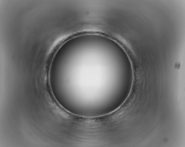 X0000091671408200709061033