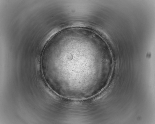 X0000091671409200709061033