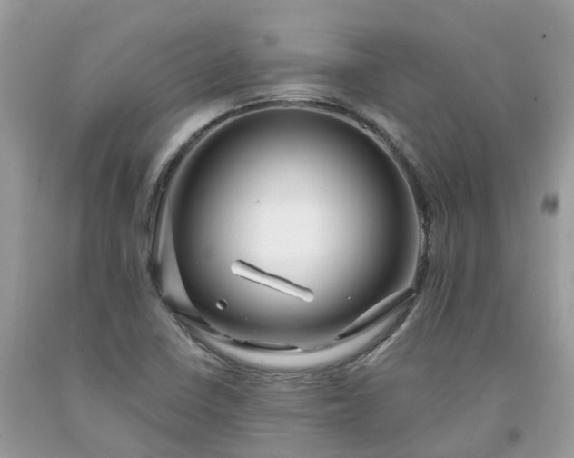 X0000091671410200709061033