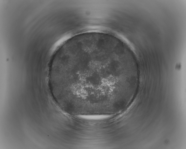 X0000091671411200709061033