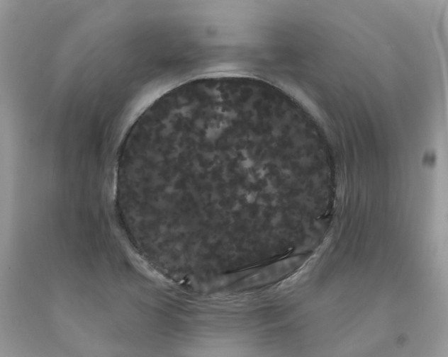X0000091671413200709061033