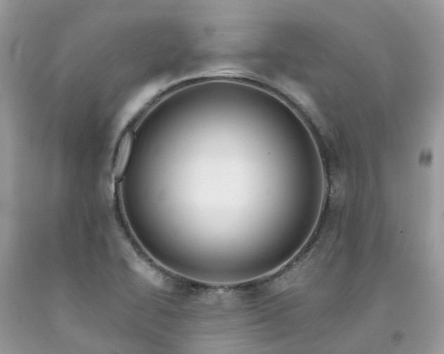 X0000091671414200709061033