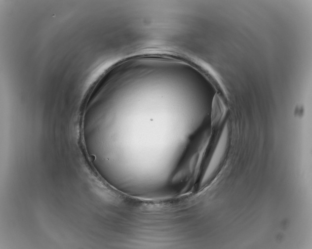 X0000091671415200709061033