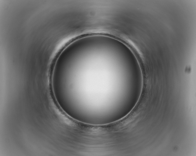 X0000091671416200709061033