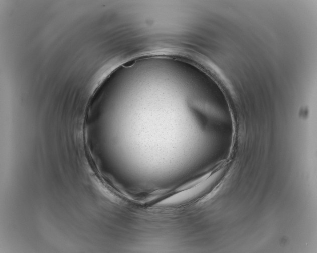 X0000091671417200709061033