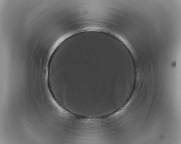 X0000091671418200709061033