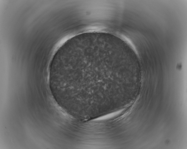 X0000091671419200709061033