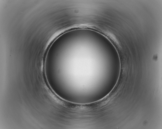 X0000091671420200709061033