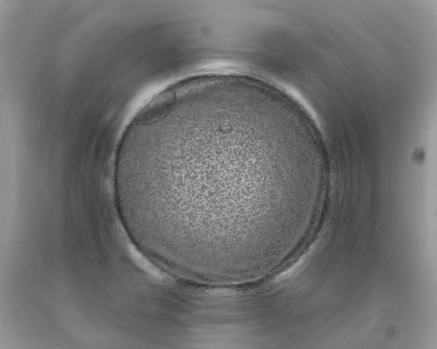 X0000091671421200709061033