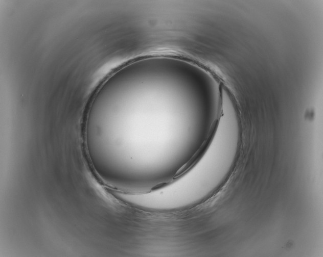 X0000091671422200709061033