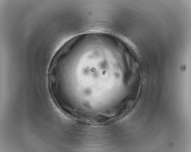 X0000091671423200709061033