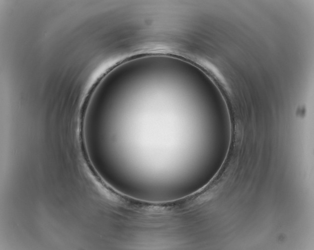 X0000091671424200709061033