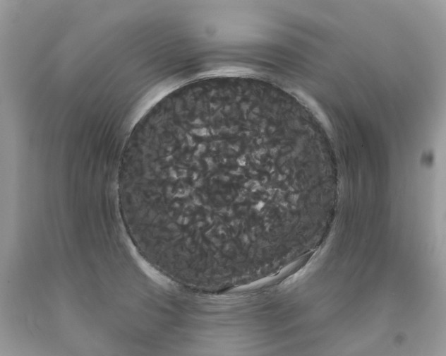 X0000091671425200709061033