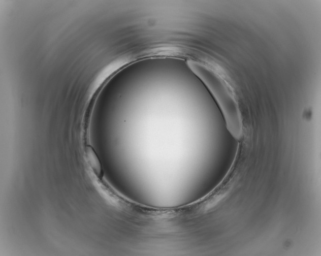 X0000091671426200709061033