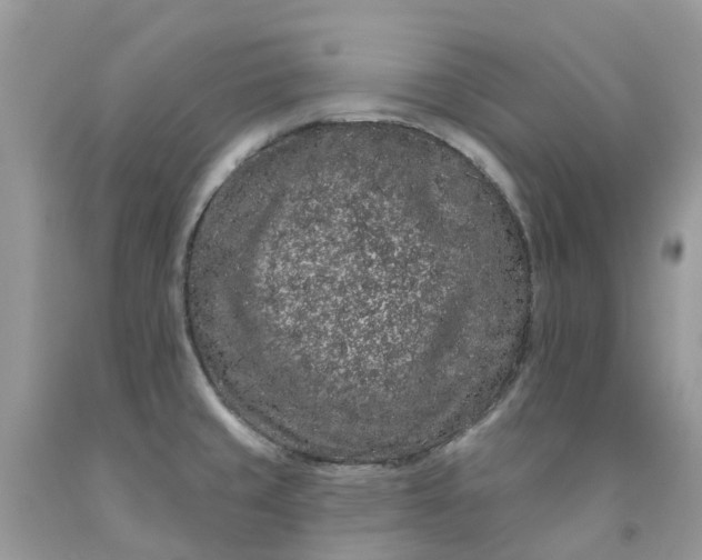 X0000091671429200709061033