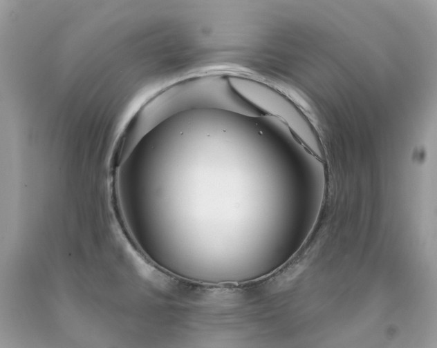 X0000091671430200709061033