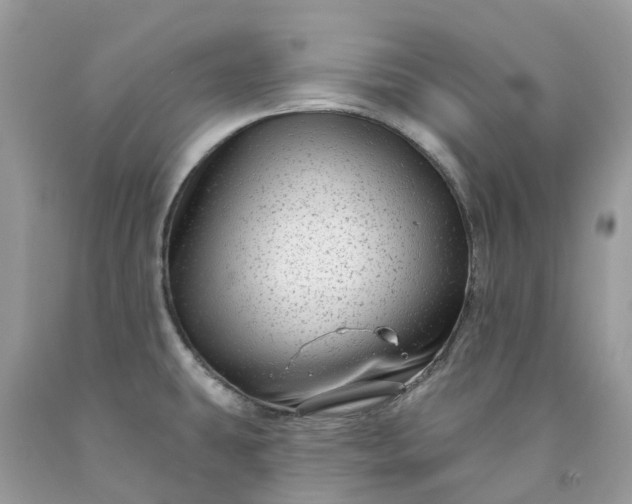 X0000091671431200709061033