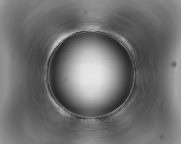 X0000091671432200709061033
