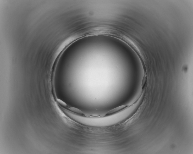 X0000091671434200709061033