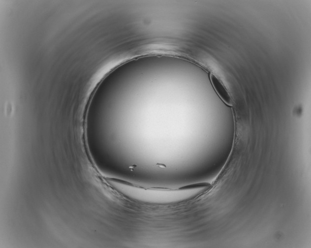 X0000091671435200709061033
