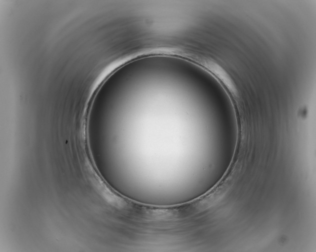 X0000091671436200709061033