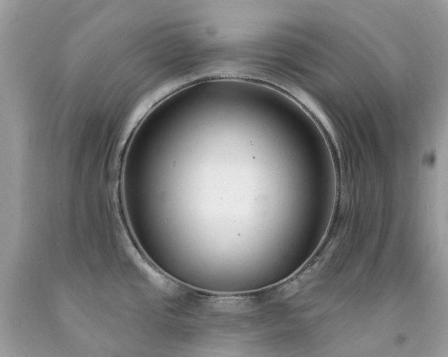X0000091671437200709061033