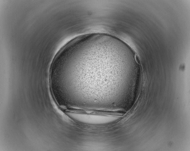 X0000091671439200709061033