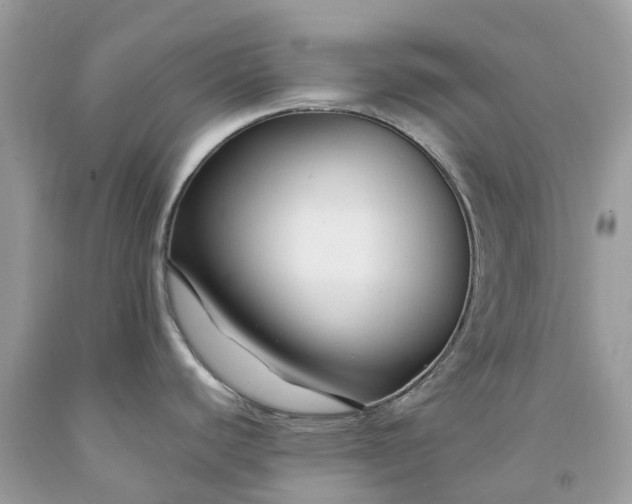 X0000091671440200709061033