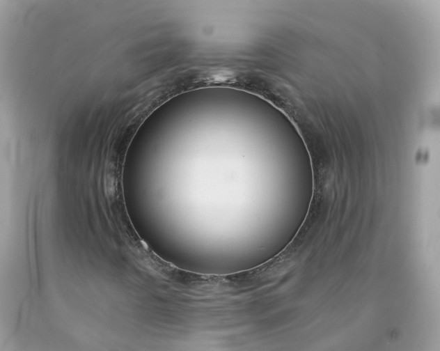 X0000091671442200709061032