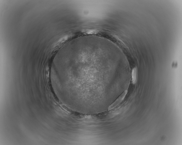 X0000091671443200709061032