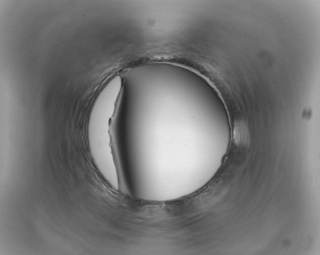 X0000091671444200709061032