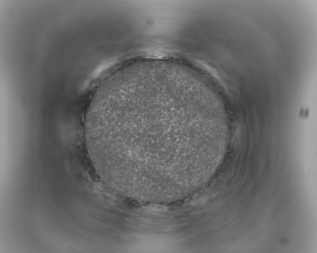 X0000091671446200709061032