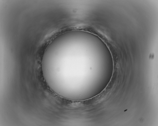 X0000091671447200709061032