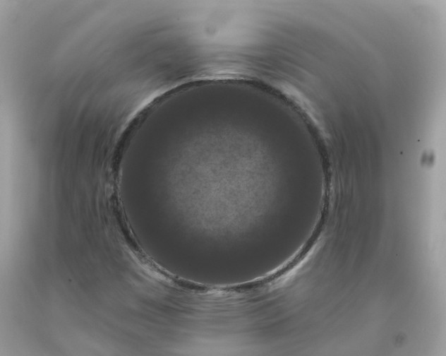 X0000091671449200709061032