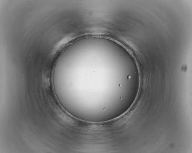 X0000091671451200709061032