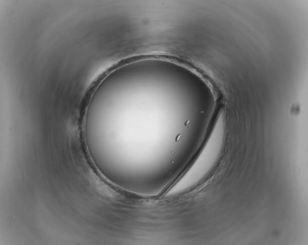 X0000091671452200709061032