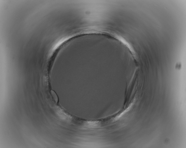 X0000091671453200709061032