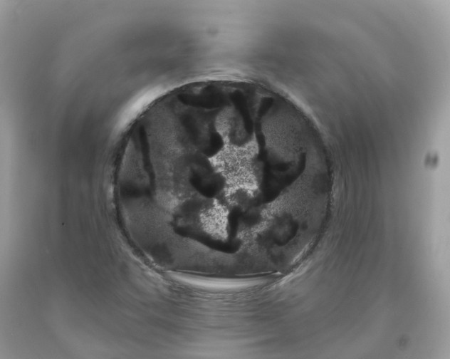 X0000091671455200709061032